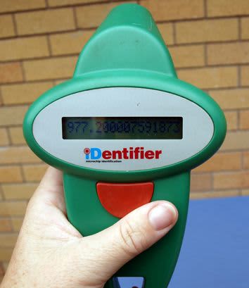 Example of RFID or microchip scanner