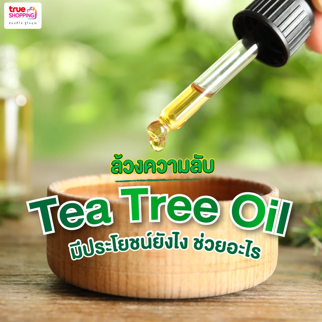 ล้วงความลับ tea tree oil ช่วยอะไร มีประโยชน์เรื่องไหนบ้าง