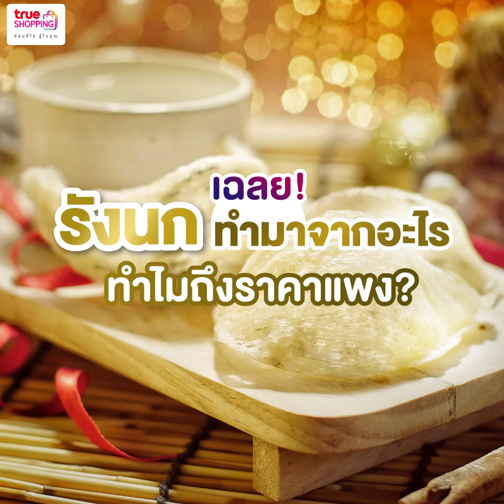 รังนก ทำมาจากอะไร ทำไมถึงแพง? เลือกซื้อรังนกยี่ห้อไหนคุ้มค่าที่สุด!