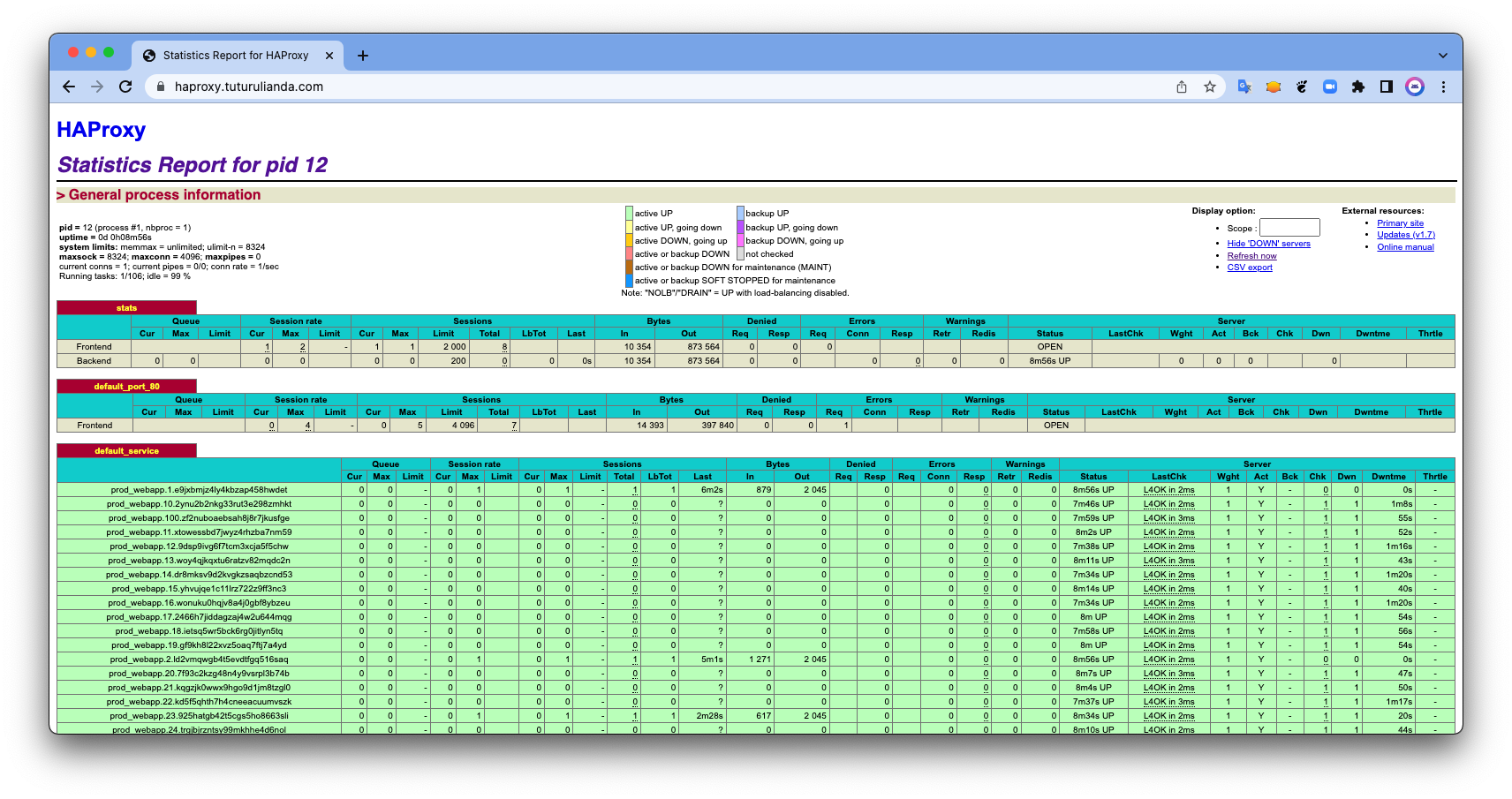 Concept and Utilizing HAProxy, Docker Swarm, and Multiplexing Web Apps