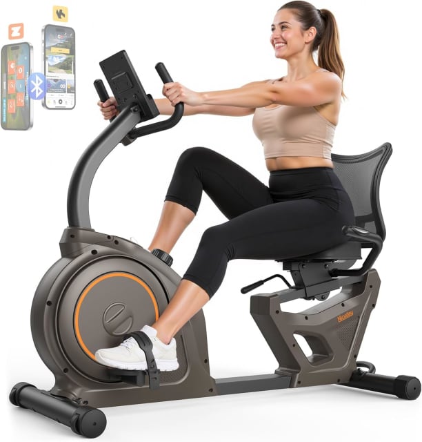 Niceday Recumbent Exercise Bike for Home Stationary Bike with APP Training