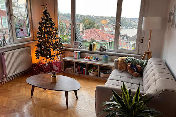 House sit in İstanbul, Turkey