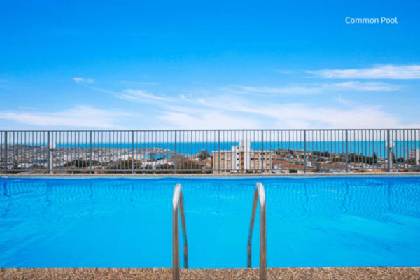 House sit in Sydney, NSW, Australia