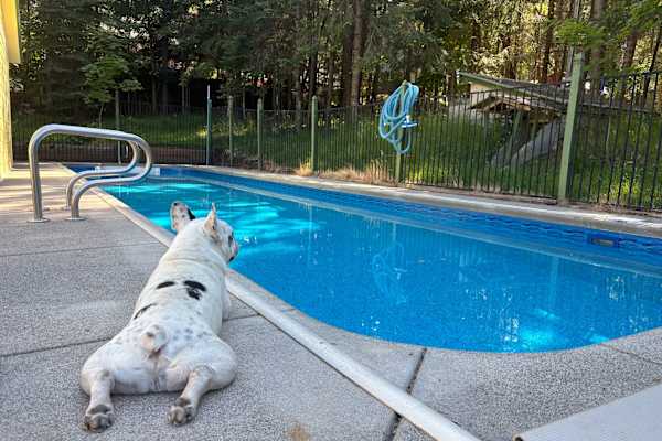 House sit in Bayview, ID, US