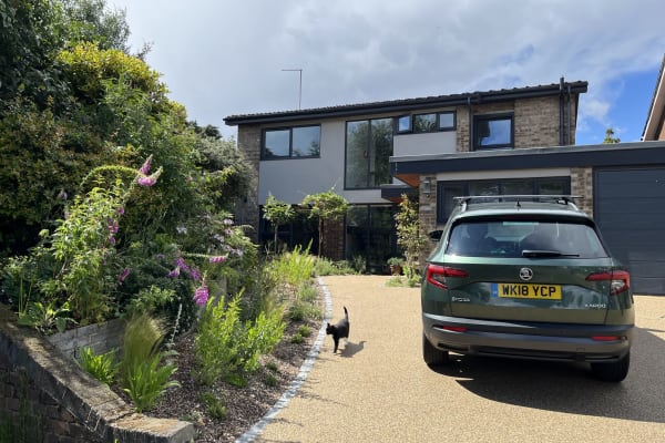 House sit in Wanstead, United Kingdom