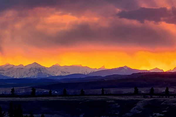 House sit in Okotoks, AB, Canada