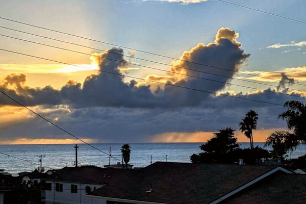House sit in Cayucos, CA, US