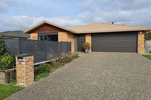 House sit in Wellington, New Zealand