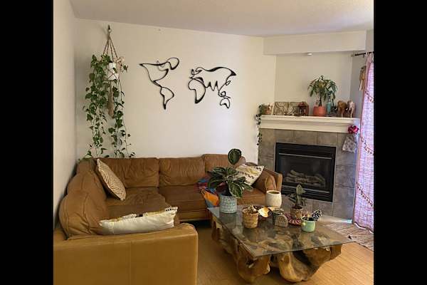 House sit in Calgary, AB, Canada