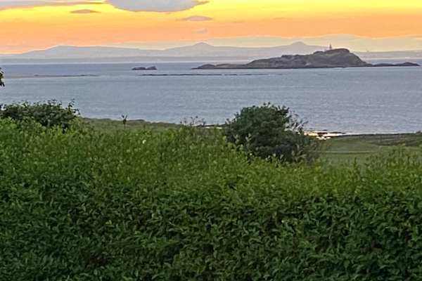 House sit in Edinburgh, United Kingdom