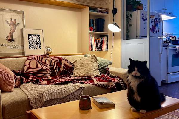 House sit in Montréal, QC, Canada