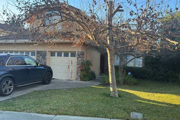 House sit in Danville, CA, US