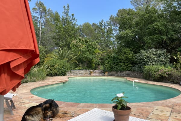 House sit in Fayence, France