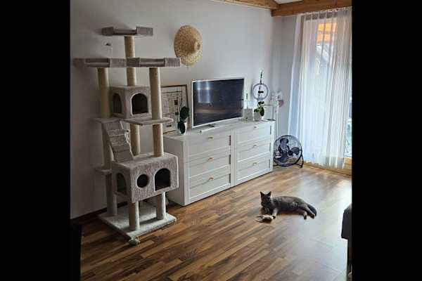 House sit in Samedan, Switzerland
