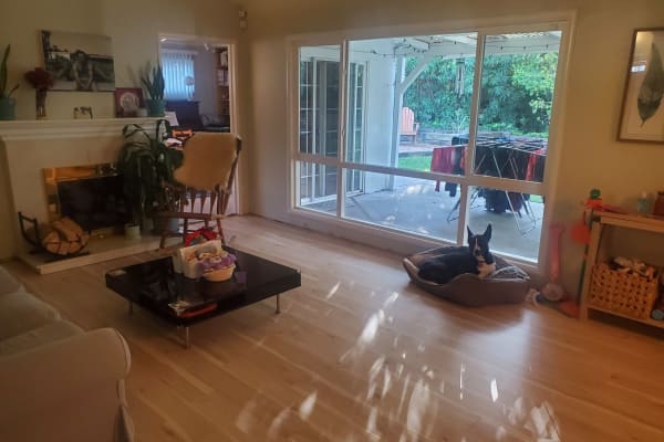House sit in Concord, CA, US
