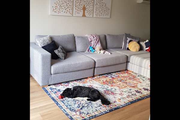 House sit in Reidtown, NSW, Australia