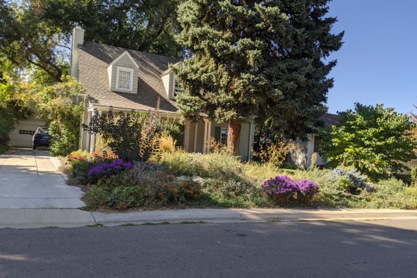 House sit in Denver, CO, US