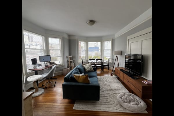 House sit in San Francisco, CA, US