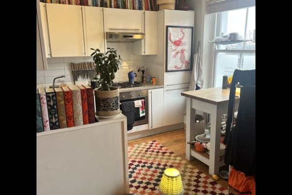 House sit in London, United Kingdom