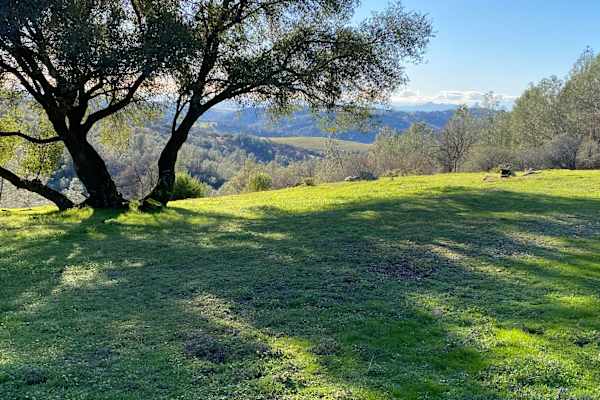 House sit in Penn Valley, CA, US