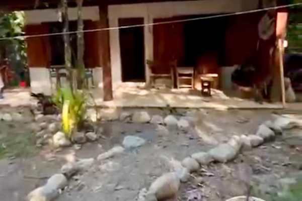 House sit in Puerto Viejo, Costa Rica