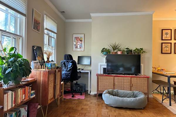 House sit in Adams Morgan, Washington, D.C., US