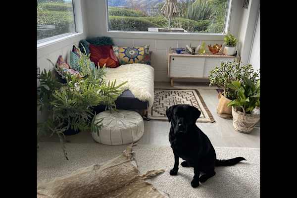 House sit in Queenstown, New Zealand