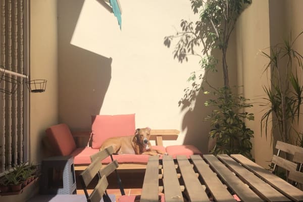 House sit in Barcelona, Spain