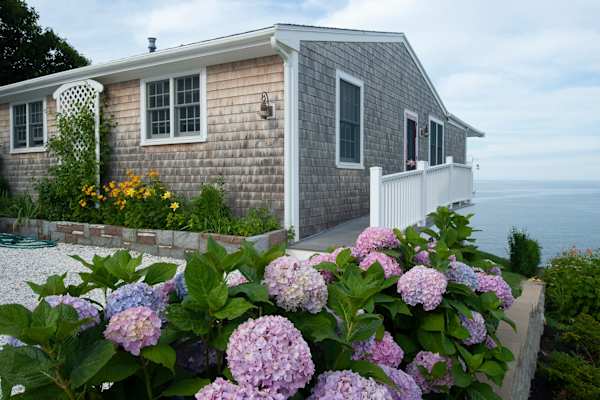 House sit in Plymouth, MA, US
