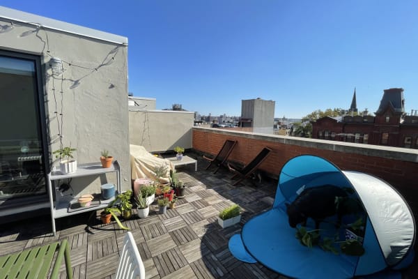 House sit in Cobble Hill, NY, US