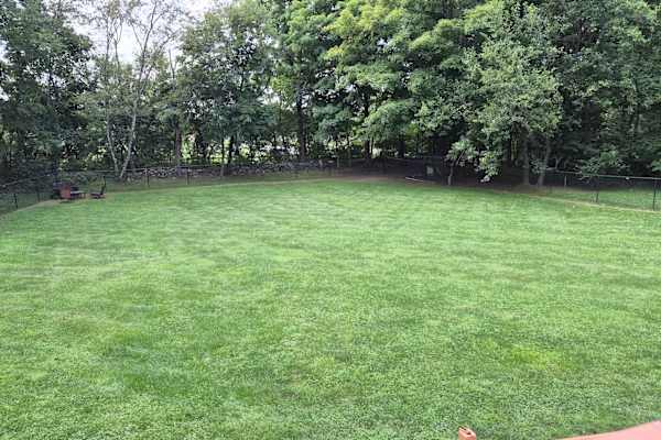 House sit in Hyde Park, NY, US