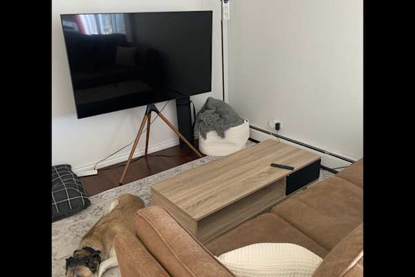 House sit in Calgary, AB, Canada