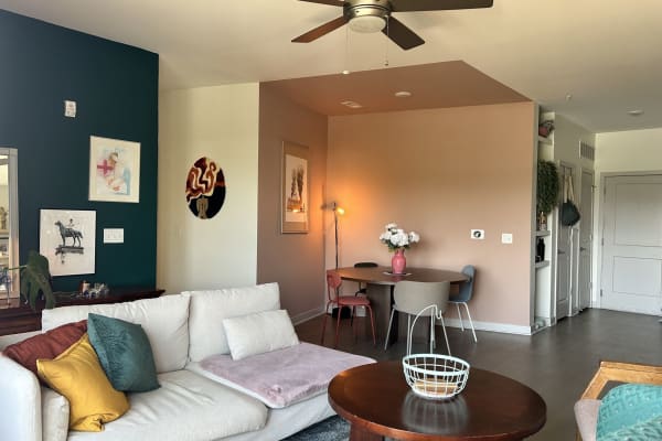 House sit in Chattanooga, TN, US