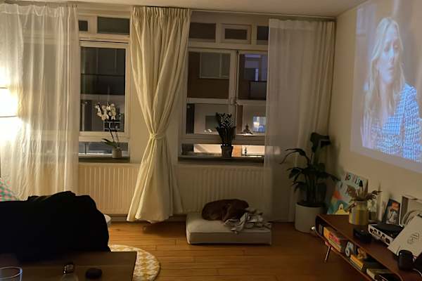 House sit in Scheveningen, Netherlands