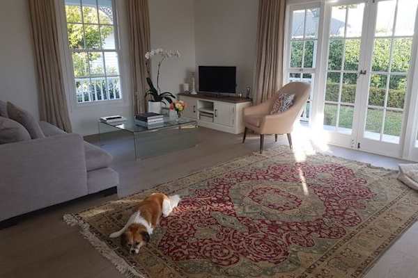 House sit in Auckland, New Zealand