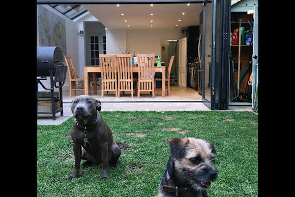 House sit in London, United Kingdom