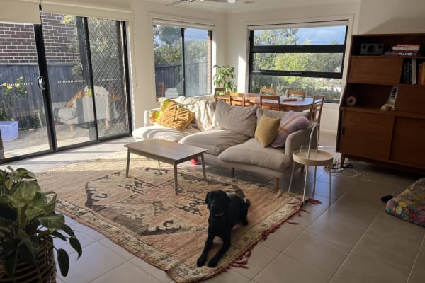 House sit in Torquay, VIC, Australia