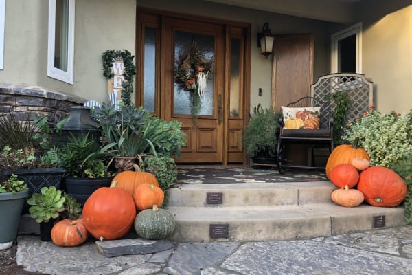 House sit in San Luis Obispo, CA, US