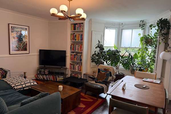House sit in Dalston, United Kingdom