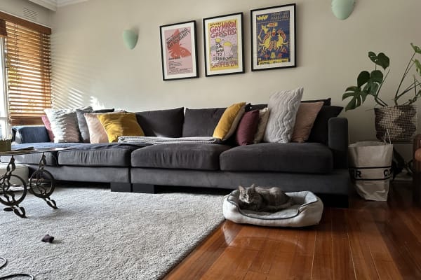 House sit in Melbourne, VIC, Australia