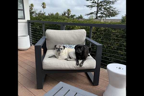 House sit in Tiburon, CA, US