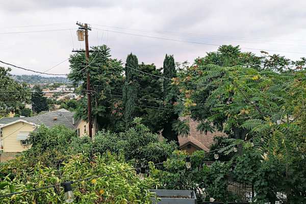 House sit in Los Angeles, CA, US