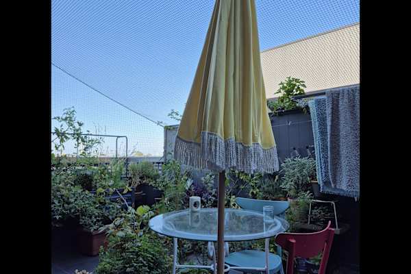 House sit in Melbourne, VIC, Australia