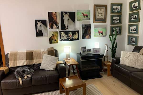 House sit in Sydney, NSW, Australia