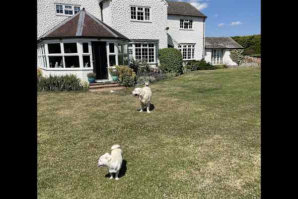 House sit in Digby, United Kingdom