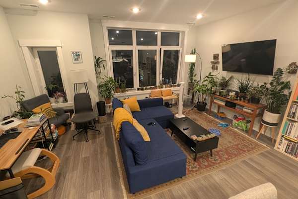 House sit in Chicago, IL, US
