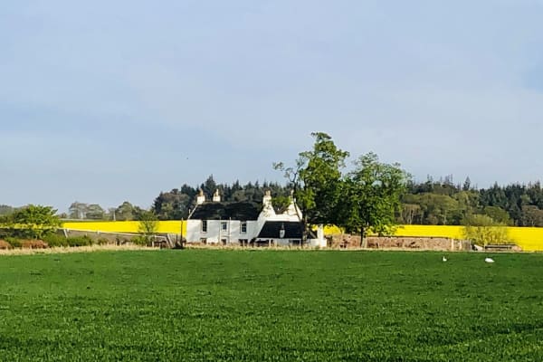 House sit in Haddington, United Kingdom