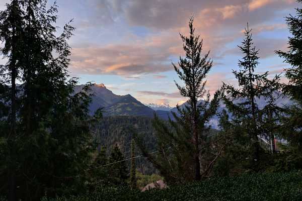 House sit in Villars-sur-Ollon, Switzerland