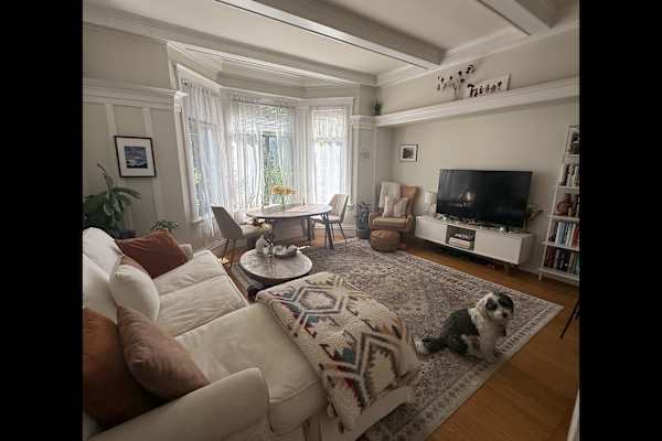 House sit in San Francisco, CA, US
