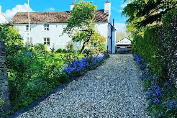 House sit in Northallerton, United Kingdom